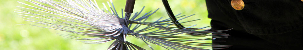 Banner - Michael Ott